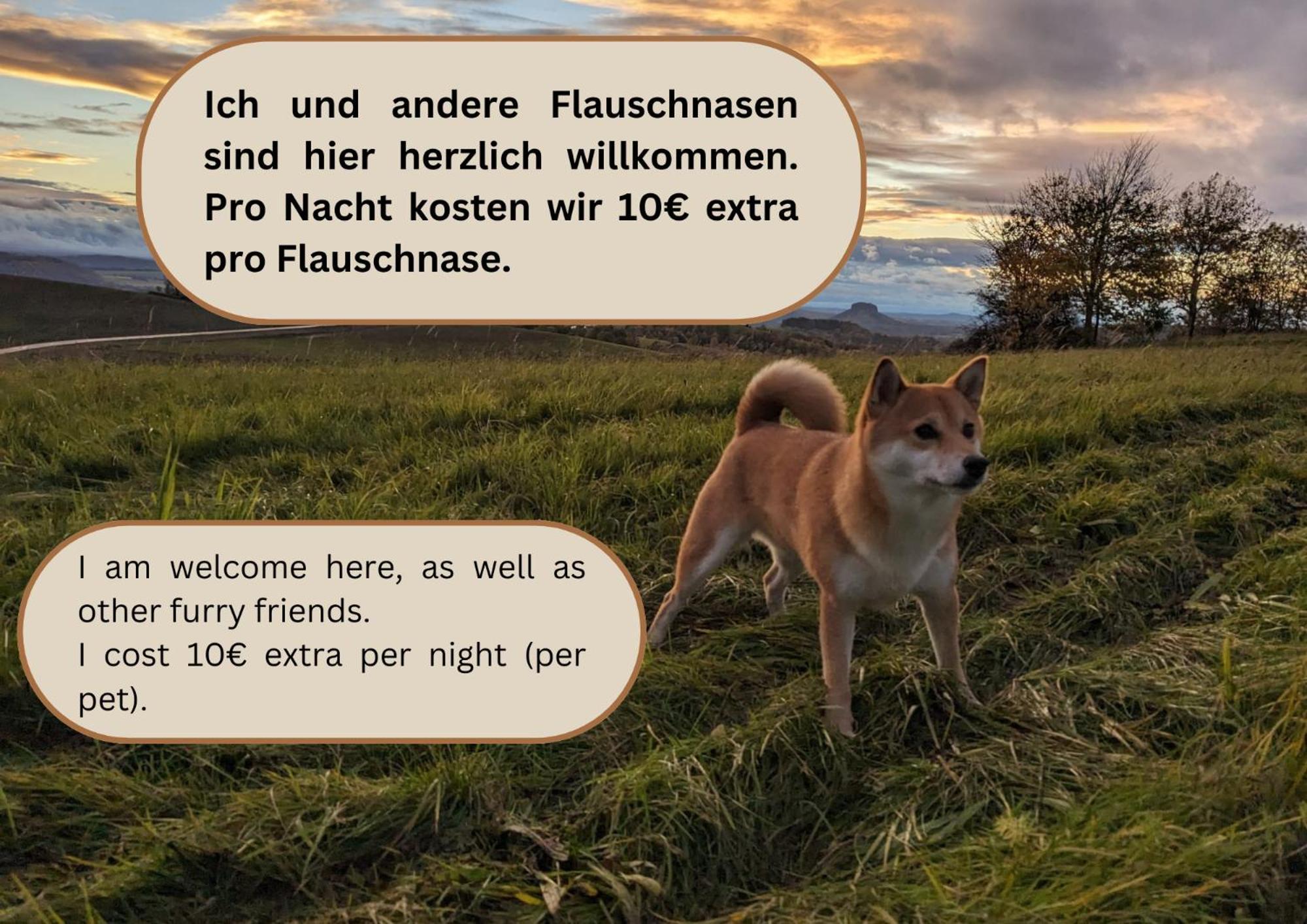 R3 - Urlaubsmagie - Helle Wohnung Mit Garten & Pool Rathmannsdorf 外观 照片